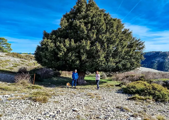 Cabana El Lagunazo