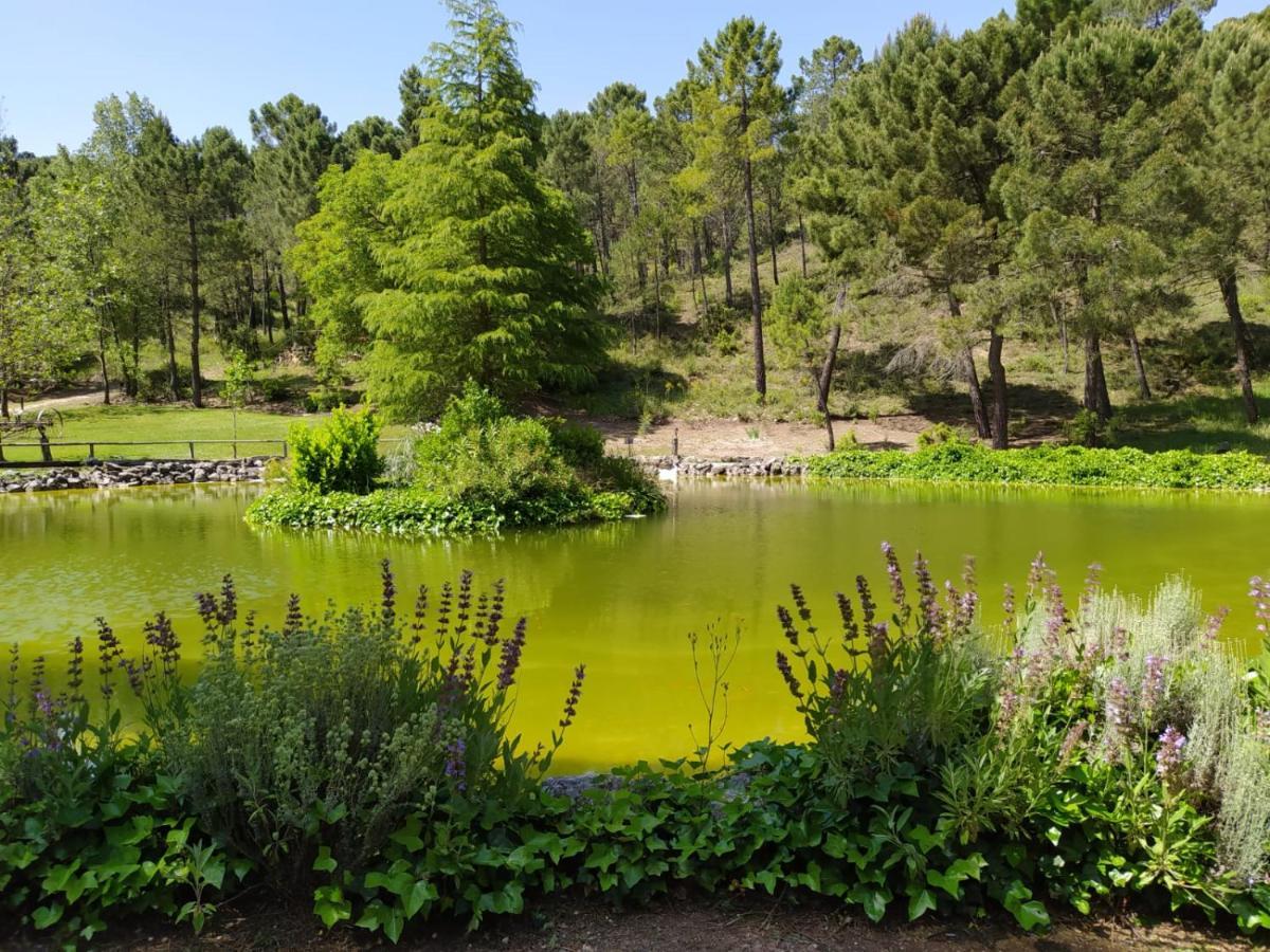 El Lagunazo