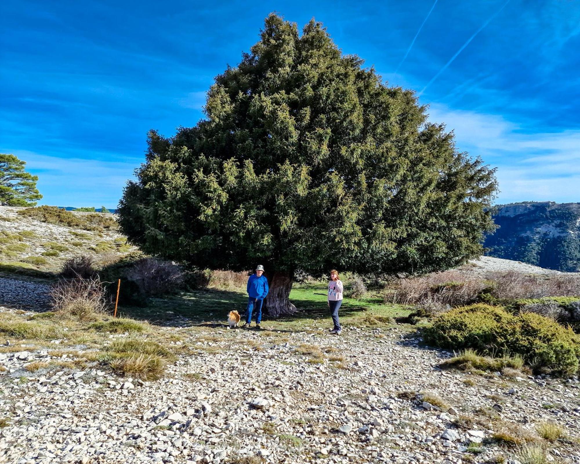 El Lagunazo Landhaus *